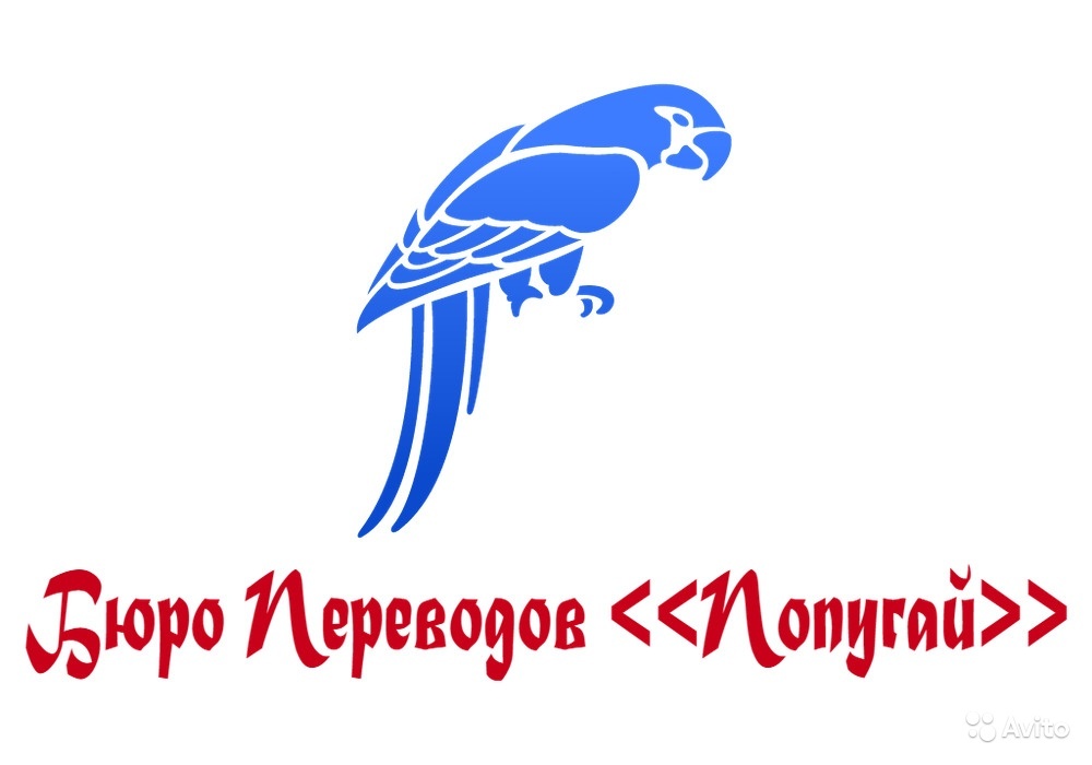 Переводчик попугаев. Бюро переводов попугай. Юк слово Калининград.