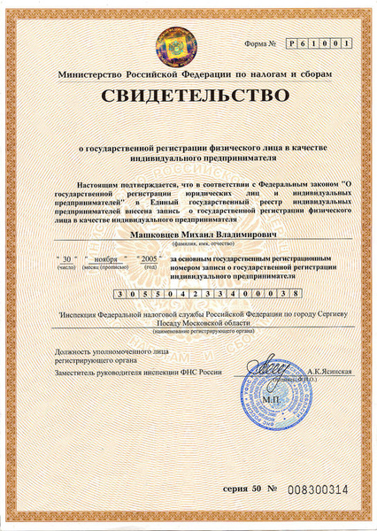 Как выглядит свидетельство ип 2025