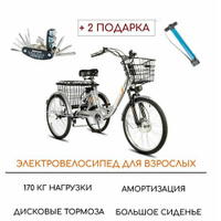 Электровелосипед трехколесный для взрослых РВЗ "Чемпион", серебро
