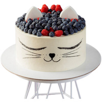 Торт ВкусВилл Ягодный котик начинка Молочный ломтик 2 кг