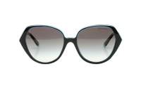 Солнцезащитные очки TIFFANY 4179B 82793C (55)