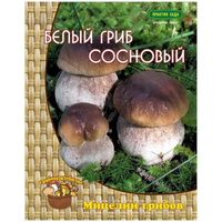 Мицелий Агрохолдинг ПОИСК Белый гриб сосновый
