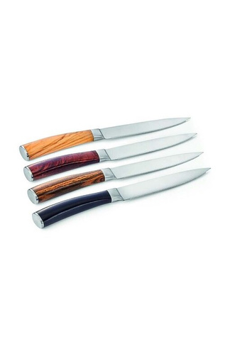 Набор ножей Garry для стейка в футляре, 4 шт. Philippi, мультиколор