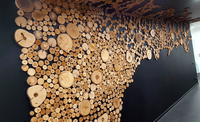 Спилы дерева на стене (59 фото)