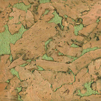 Декоративное настенное покрытие Кориа Лима