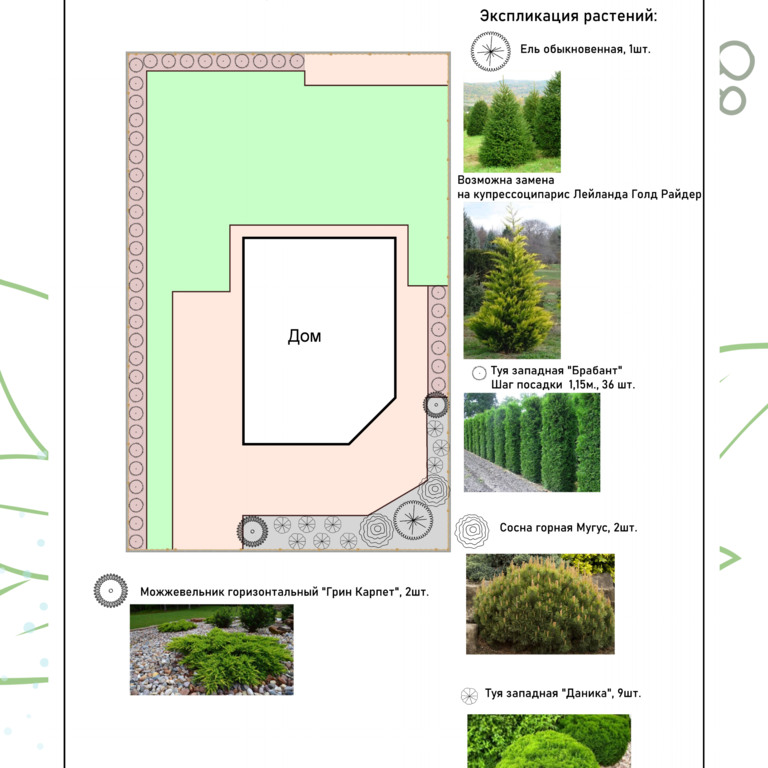 Ландшафтный дизайн дачного участка схема с указанием растений