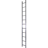 Односекционная приставная лестница STAIRS ТТ-01-00577