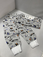 Пижама для мальчика Динозавр серый кулирка р. 92-122 (104 см) Мегаклад