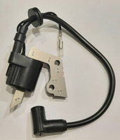 Магнето (катушка зажигания) для двигателя Robin-Subaru EY15