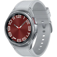 Смарт-часы Samsung Galaxy Watch 6 Classic 43мм, 1.3", серебристый/серебристый [sm-r950nzsacis]