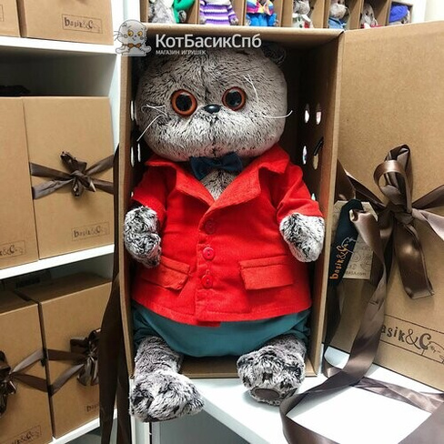 Мягкая игрушка 30 см Basik&Co в подарочной коробке - Кот Басик в костюме с вельветовым пиджаком