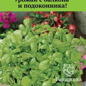 Семена Портулак огородный Лакомка (А) 20, Поиск