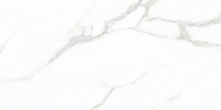 Плитка керамогранитная Creo Ceramique WHITE CARARRA 60х120 Glossy (GJT612670)